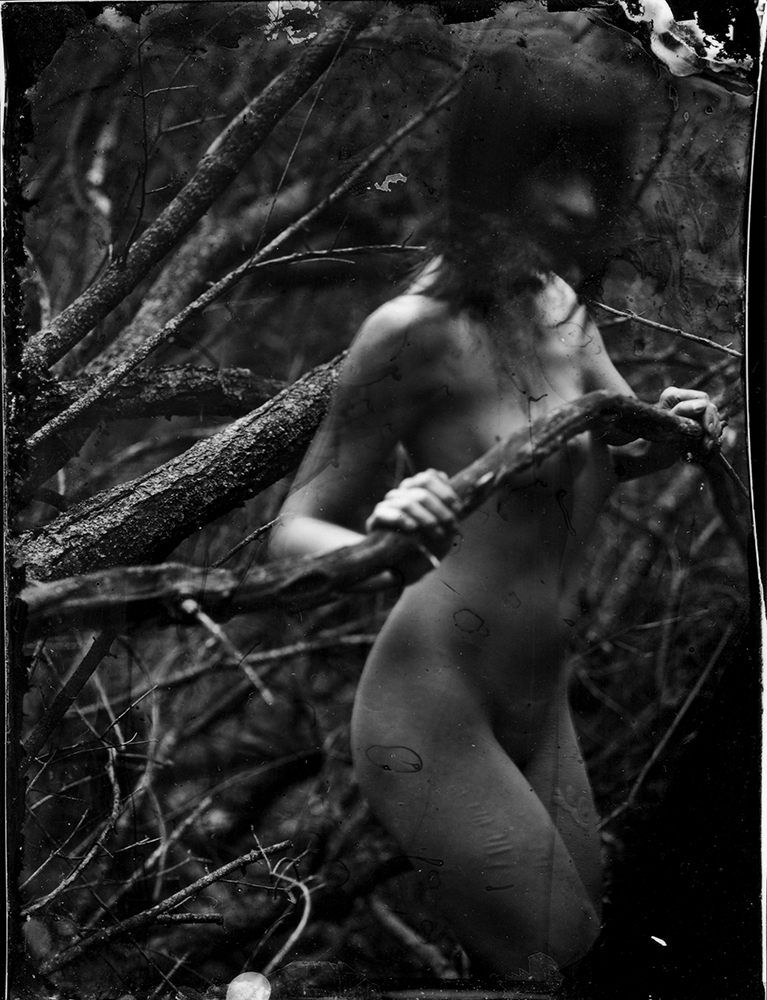 Earth Magic - 2012
Silver gelatin print from wet plate collodion negative